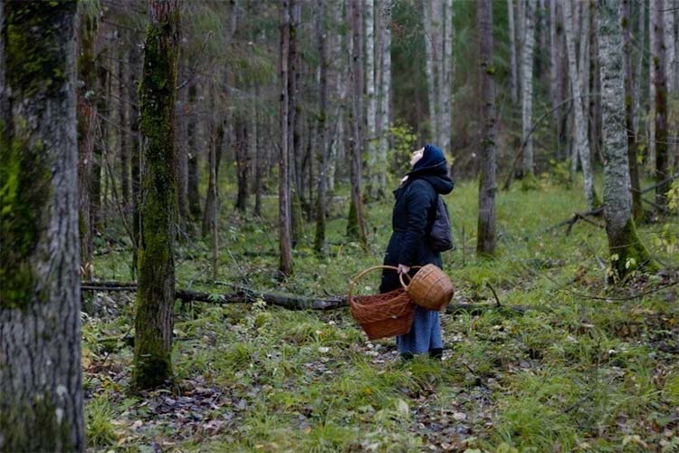 Женщина с корзинками в лесу