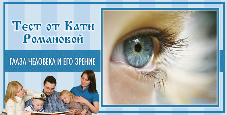 Глаза человека и его зрение