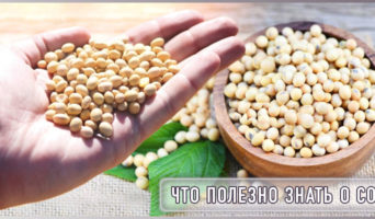 Что полезно знать о сое