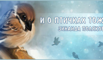 И о птичках тоже | Зинаида Полякова