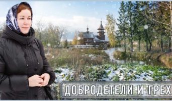 Добродетели и грехи