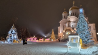 14. Rozhdestvenskie vidy Diveevskogo monastyrya