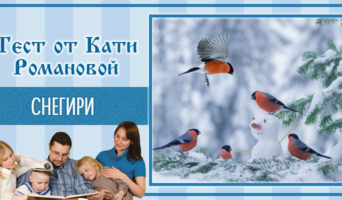 Снегири | Тест Кати Р.