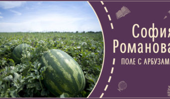 Поле с арбузами | Рассказ Софии Р.