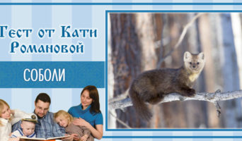 Соболи | Тест Кати Р.