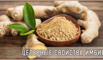Целебные свойства имбиря