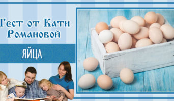Яйца | Тест Кати Р.