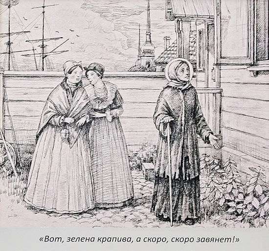 «Зелена крапива, но скоро увянет»