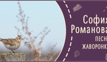 Песня жаворонка | Рассказ Софии Р.