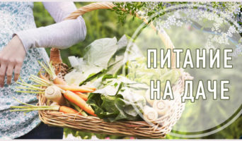 Питание на даче