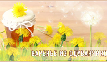 Варенье из одуванчиков