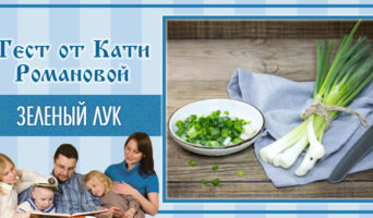 Зеленый лук | Тест Кати Р.