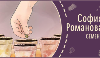 Семена | Рассказ Софии Р.