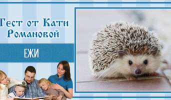 Ежи | Тест Кати Р.