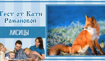 Лисицы | Тест Кати Р.