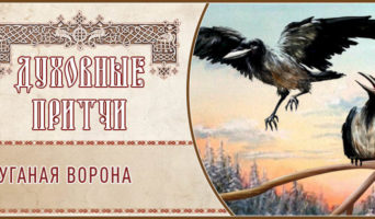 Духовные притчи. Пуганая ворона
