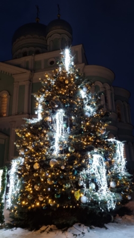 11. rozhdestvenskaya elka