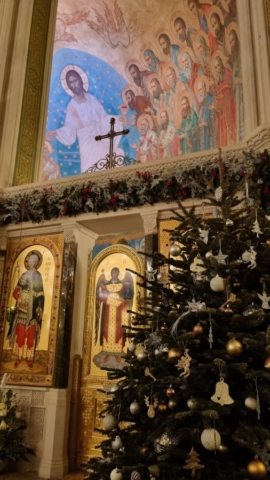 11. rozhdestvenskaya elochka