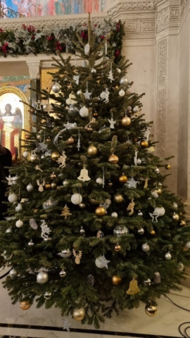 12. rozhdestvenskaya elochka
