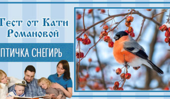 Птичка снегирь | Тест Кати Р.