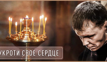 Укроти свое сердце