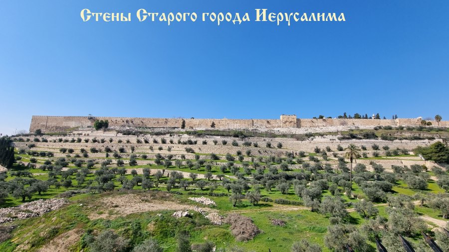 Стены Старого города Иерусалима