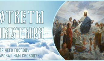 Для чего Господь даровал нам свободу?