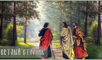 Светлый вторник