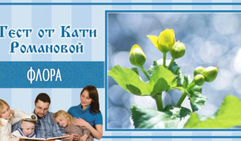 Флора | Тест Кати Р.