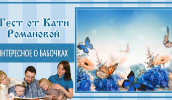 Интересное о бабочках | Тест Кати Р.