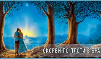 Скорби по плоти в браке