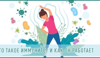 Что такое иммунитет и как он работает?
