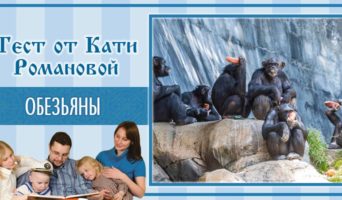 Обезьяны | Тест Кати Р.
