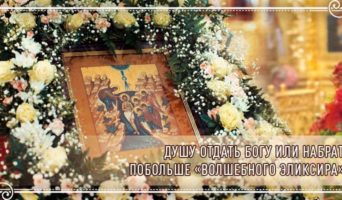 Душу отдать Богу или набрать побольше «волшебного эликсира»?