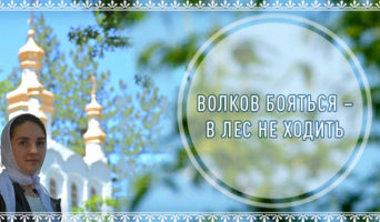 Волков бояться − в лес не ходить