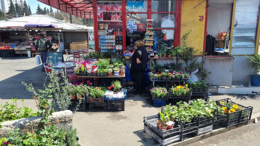 Рассказ о поездке в Грузию🤗 28 Продажа цветов