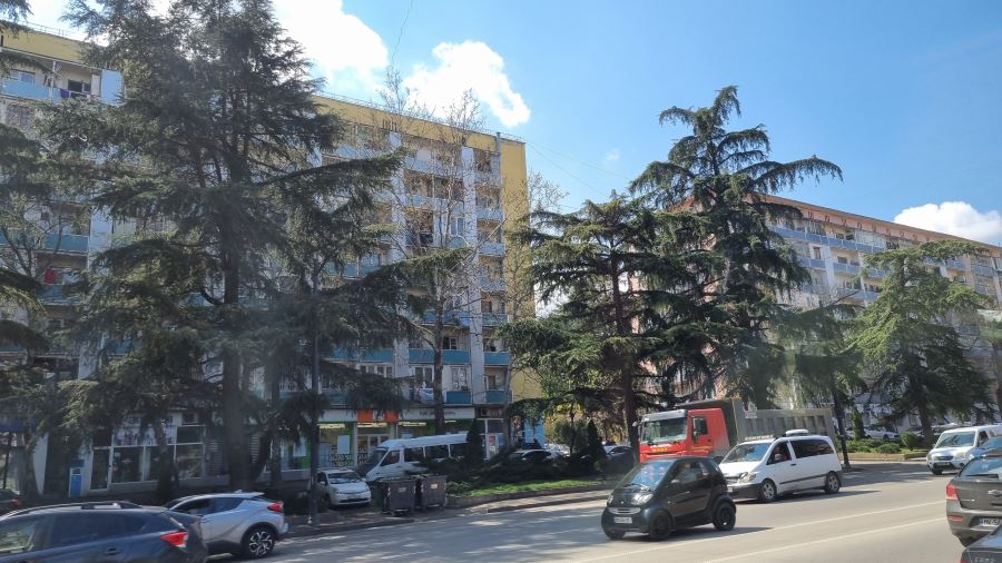 Рассказ о поездке в Грузию🤗 29 Одна из главных улиц Тбилиси