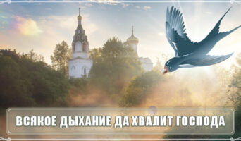 Всякое дыхание да хвалит Господа