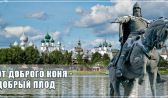От доброго коня – добрый плод