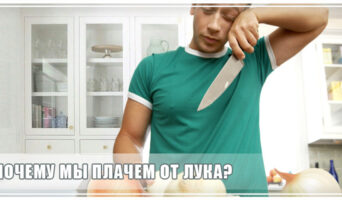 Почему мы плачем от лука?