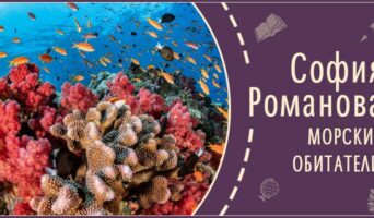 Морские обитатели | Рассказ Софии Р.