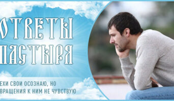 Грехи свои осознаю, но отвращения к ним не чувствую