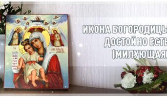 Икона Богородицы Достойно есть (Милующая)