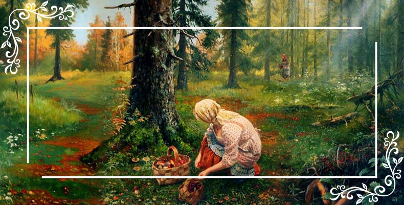 Сбор грибов